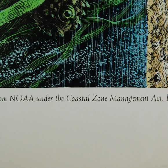 Vintage Art Poster 1995 Larry W. Duke, ESTUARIES 36x24 Nature Coastal NOAA NOS - Picture 7 of 15